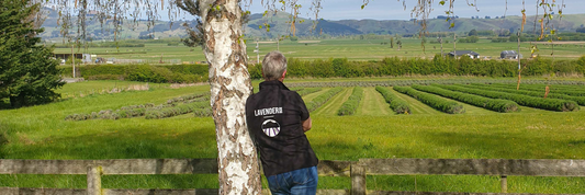 Lavender Row: Paula Cosgrove Is Living La Vida Lavender