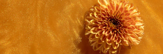 Sneak Peek Into Glow: Wellness Box Hints For October 2026