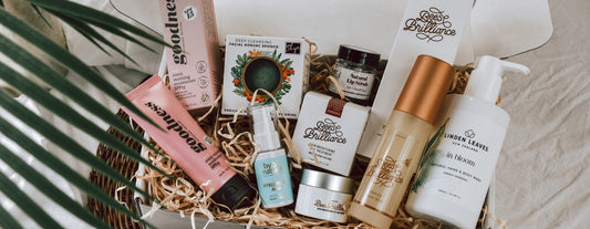 Repair & Restore With the Treats in Our First 2023 Box!